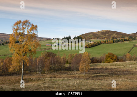 Tirinie, Lude in Glen Fender Blair Atholl Perthshire Region Tayside Schottland UK SCO 1121 Stockfoto