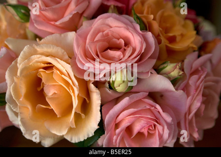 Strauß Rosen. Stockfoto