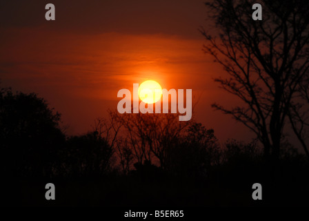 Sonne in der Waterberg Nature Reserve in Südafrika. Eva-Lotta Jansson Stockfoto