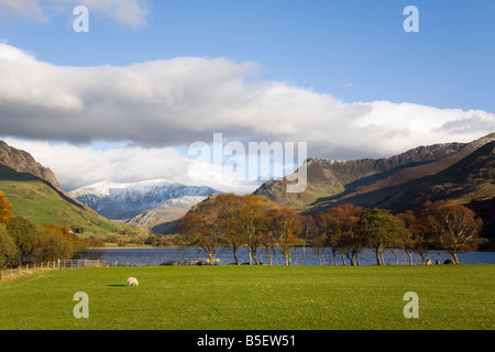 Snowdon Yr Wyddfa von Westen über See Llyn Nantlle Uchaf in Snowdonia National Park in Nordwales Gwynedd UK Großbritannien Stockfoto