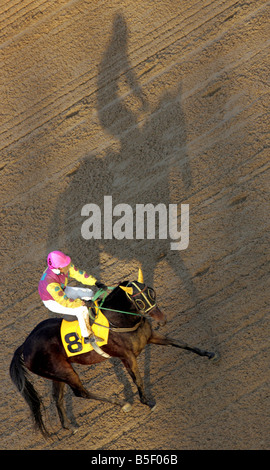 Jockey und sein Pferd Gießen Schatten auf der Rennstrecke, Seoul, Südkorea Stockfoto