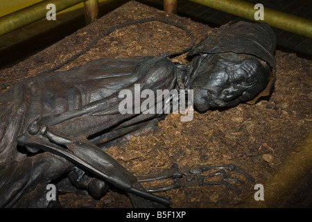 Das beste Beispiel für eine erhaltene "Moor Körper" - der Tollund Mann im Silkeborg Museum, Jütland, Dänemark Stockfoto