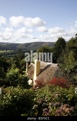 Strohgedeckten Hütten in dem malerischen Dorf Selworthy, das gehört dem National Trust Holnicote Estate auf Exmoor Stockfoto