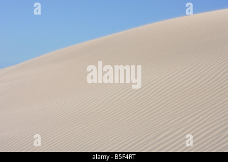 Wind geblasen Sand Muster - De Hoop Nature Reserve, Western Cape, Südafrika Stockfoto