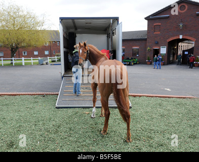 Pferderennen Cheltenham Festival wurde aufgrund der widrigen Bedingungen westlichen Punkt ist nehmen an seinen Hof zu zurück ON Freitag März 2008 Gloucstershire Tag 2 von Cheltenham abgebrochen. Stockfoto