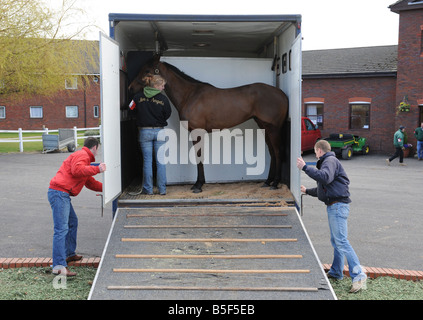 Aufgrund widriger Witterungsbedingungen Pferde gehen nach Hause wurde Pferderennen Cheltenham Festival März 2008 Gloucstershire Tag 2 von Cheltenham abgesagt. Stockfoto