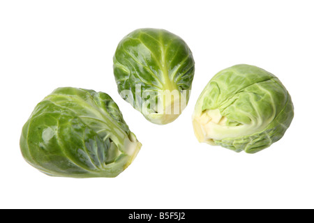 Rosenkohl Ausschnitt auf weißem Hintergrund Stockfoto