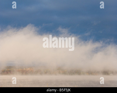 Schwere Morgennebel entlang des St. John River im Herbst mit Herbstfarben Herbstfarben in New Brunswick, Kanada Stockfoto