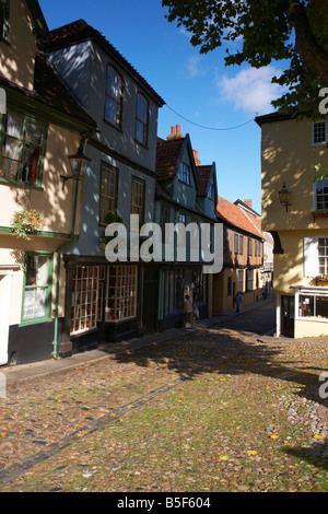 Die gepflasterten Straßen & Altbauten von Elm Hill Norwich UK Stockfoto