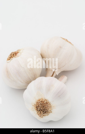 Nahaufnahme von drei Knoblauch Zwiebeln vor einem weißen Hintergrund Stockfoto