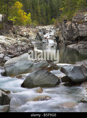 Cold Stream in eine herbstliche Berg Holz Stockfoto