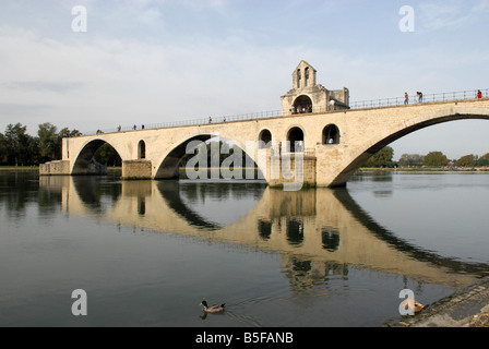 Die Pont St. Benezet auf der Rhone in Avignon Stockfoto