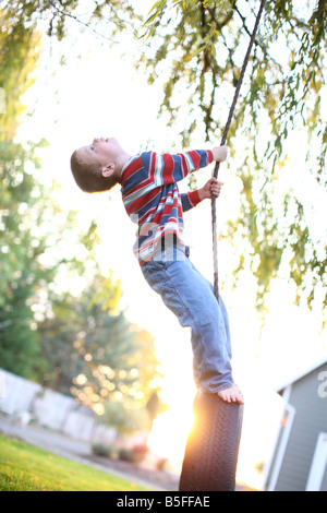 Vier Jahre alter Junge spielt auf Reifenschaukel Stockfoto