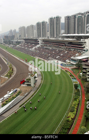 Das Horse Race Course Sha Tin in Hongkong, China Stockfoto