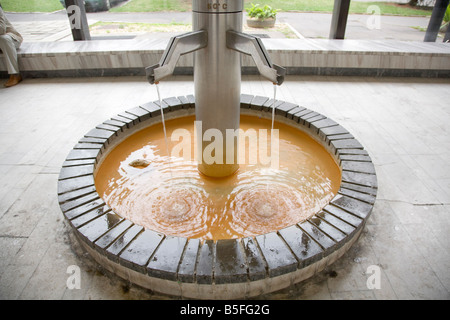 Thermische Frühlinge Kolonnade im Kurort Karlovy Vary Tschechien Stockfoto