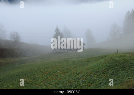 Schweizer Haus in der Nähe der Wald an einem nebligen Nachmittag Stockfoto