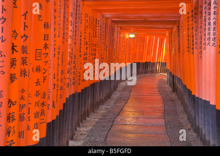 Kyoto-Stadt Japan Gehweg von Torii Toren am Fushimi Inari Schrein Shinto bietet Stockfoto