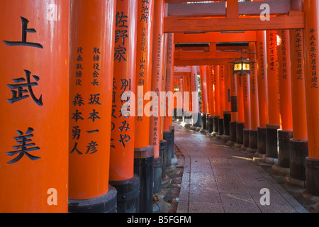 Kyoto-Stadt Japan Gehweg von Torii Toren am Fushimi Inari Schrein Shinto bietet Stockfoto