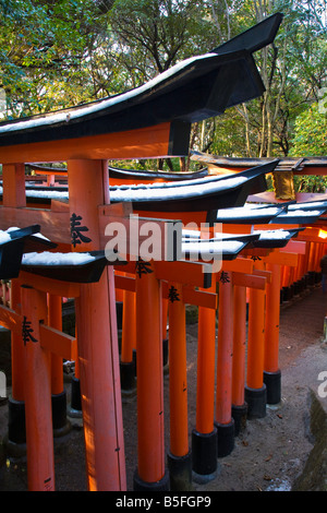 Kyoto-Stadt Japan Gehweg von Torii Toren am Fushimi Inari Schrein Shinto bietet Stockfoto