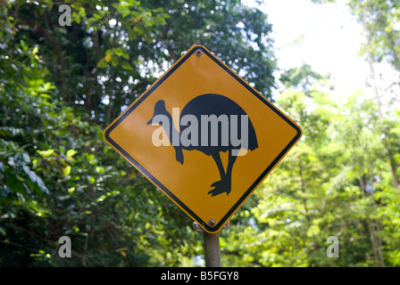 Ein am Straßenrand Warnsignal zu alarmieren Besucher auf das Vorhandensein einer Kreuzung Kasuar Vögel in Nord-Queensland-Australien Stockfoto