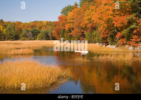 Ein Mann in einem Kajak paddeln entlang einer Flussmündung, umgeben von den lebhaft gefärbten Laub an einem Herbsttag. Stockfoto