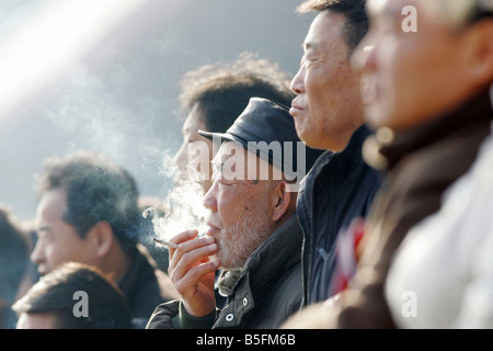 Männer bei Pferderennen, eine Rauchen einer Zigarette, Seoul, Südkorea Stockfoto