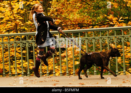 Mädchen mit einem Hund, laufen, laufen, Herbst, gehen mit dem Hund, freundlich, Begleiter für Spaziergänge, Lebenskraft, Gehen mit einem Hund Haustier Stockfoto