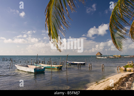 CAYE CAULKER BELIZE Boote gefesselt in Küstennähe Stockfoto