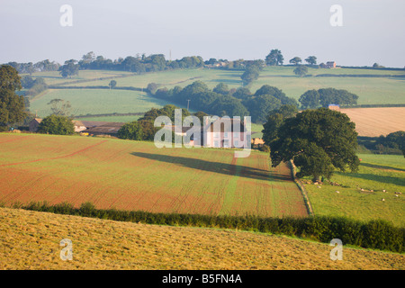 Reetgedeckten Bauernhaus und hügeligen Feldern in der Nähe Crediton in Mitte Devon England Stockfoto