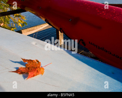 Ein rotes Ahornblatt auf einem Kajak in Kanada fallen Stockfoto