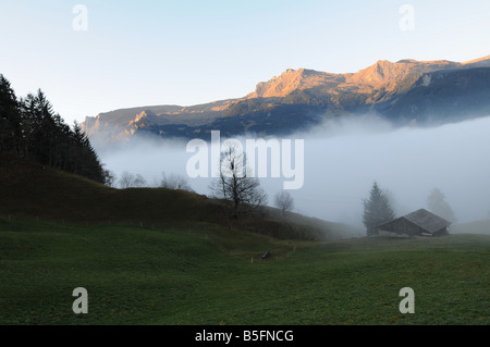 Foggy Mountain in der Nähe von Interlaken / Jungfraujoch in der Schweiz im Herbst Stockfoto