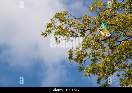 Ein bunter Drachen gefangen in einem Baum Stockfoto