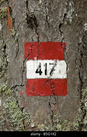 Wanderweg Wanderweg Markierung gemalt auf einem Baumstamm, Dolomiten, Italien Stockfoto