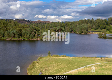 Tarn Hows, bekannter Ausflugsort in der Nähe von Coniston im englischen Lake District, Cumbria Stockfoto