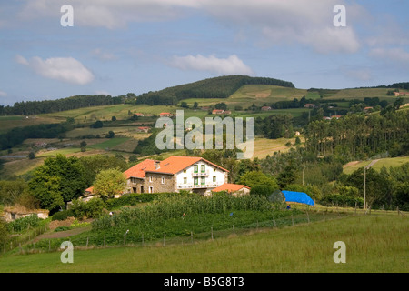 Bauernhof in der Nähe der Stadt Bermeo in der Provinz von Biskaya baskischen Land Nordspanien Stockfoto