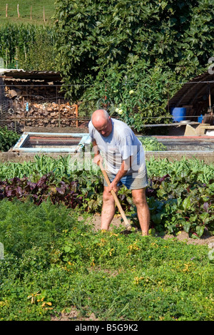 Baskische Mann im Garten in das Dorf von Sare Pyrenäen Atlantiques französischen baskischen Südwest-Frankreich Stockfoto