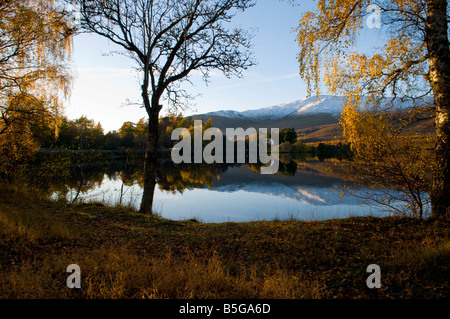 Blick über Loch Alvie zeigt Herbst Farben-Landschaft und ruhiger Überlegung der schneebedeckten Berge Stockfoto