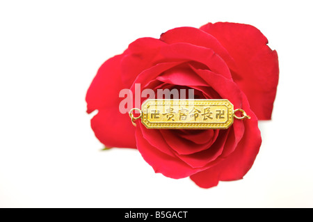 Glück chinesisches Sprichwort eingeschrieben auf ein Goldstück gesetzt gegen eine rote rose Stockfoto