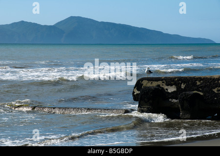 Kapiti Island von Paekakariki Beach, North Island, Neuseeland Stockfoto