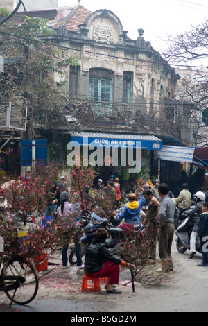Belebten Straßen in der Altstadt von Hanoi Zentralvietnam Stockfoto