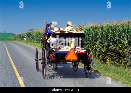 Amische Buggy und Mais Feld Lancaster County Pennsylvania USA Stockfoto