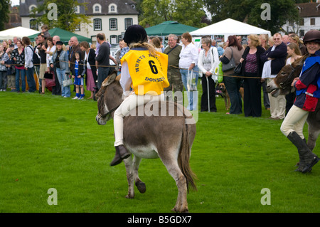 Esel-Derby mit Reiter Gottstein Village Fete Surrey tragen Nummer 6 sechs Stockfoto