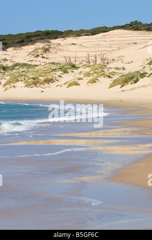 Punta Paloma Strand, Tarifa, Cádiz, Andalusien, Spanien Stockfoto