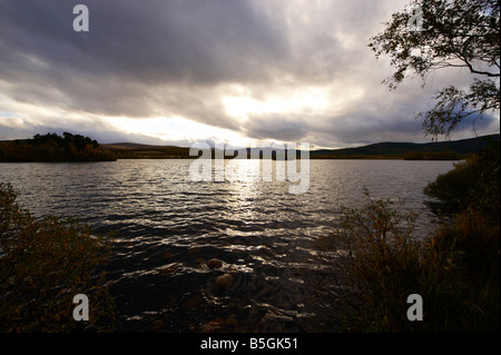 Brennen Sie O VAT Muir von Dinnet National Nature Reserve Loch Kinord Schottland UK im Herbst Stockfoto