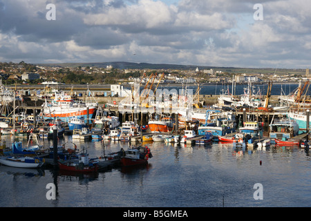 Newlyn Harbour Cornwall England Stockfoto