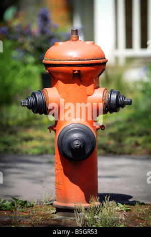 Eine alte Hydrant an Savier St in NW Portland, Oregon. Stockfoto