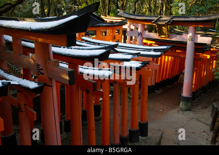 Kyoto-Stadt Japan Gehweg von Torii Toren am Fushimi Inari Schrein Shinto bietet Stockfoto