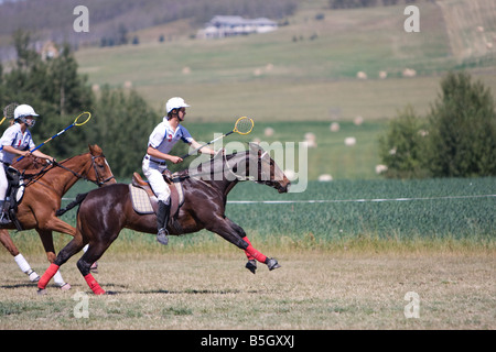 Zwei Fahrer kämpfen um den Ball während des Spiels auf dem Pferderücken polocrosse Stockfoto
