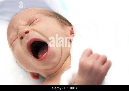 Schreiendes Baby an seinem ersten Arbeitstag Stockfoto
