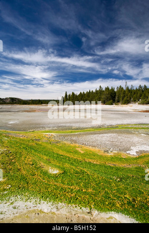 Die Algen Offrun von Whirlygig Geysir Stockfoto